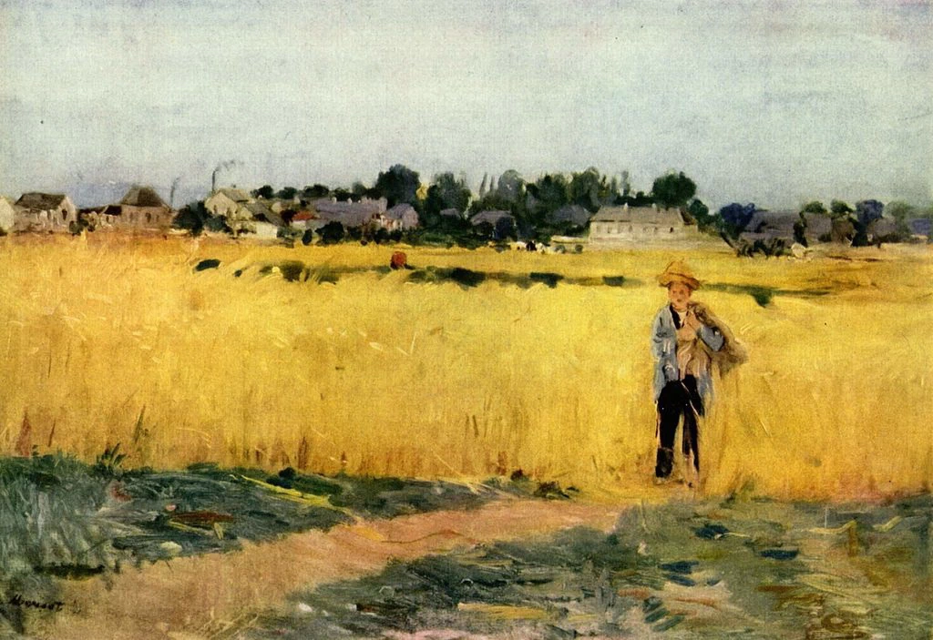 Nei campi